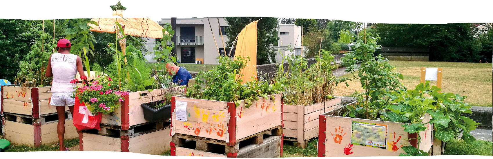 potager_etoiles